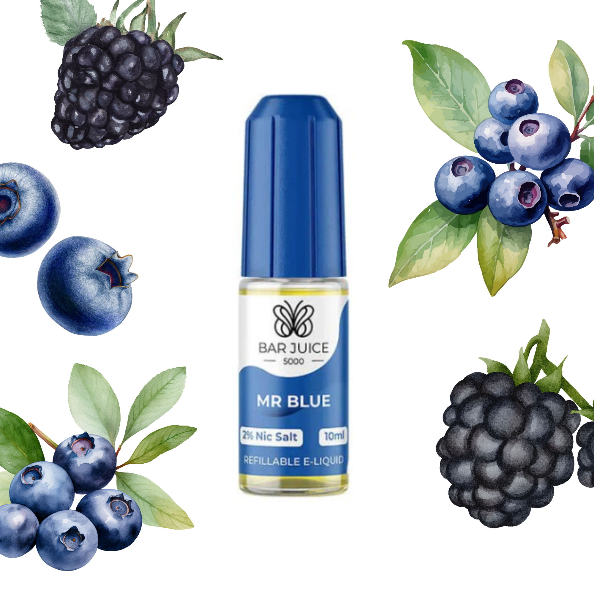 Bar 5000 - Mr Blue 10ml